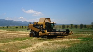 大型機械による麦の収穫状況