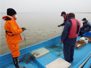 刺網調査の様子