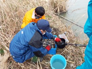 牡蠣殻の魚礁の調査の様子