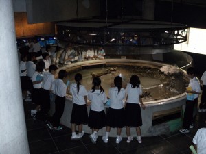 水族館内の円形むつごろう水槽を囲む生徒たち