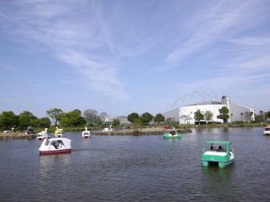 水に浮かぶ足こぎ式のスワンボート。ぷかぷかとゆっくりした時間が過ぎていきます