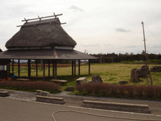 芝生広場（南側）の画像