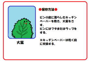 今日からできる！　野菜の保存方法のご紹介の画像10