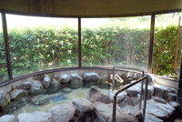 浴場（岩風呂）を撮影した写真