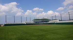 第1野球場の人工芝と防球ネットの写真