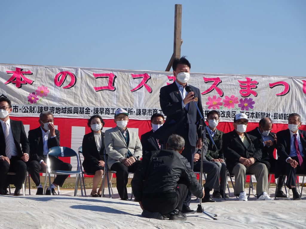 300万本のコスモスまつり（場所：深海干陸地（深海フラワーゾーン））の画像