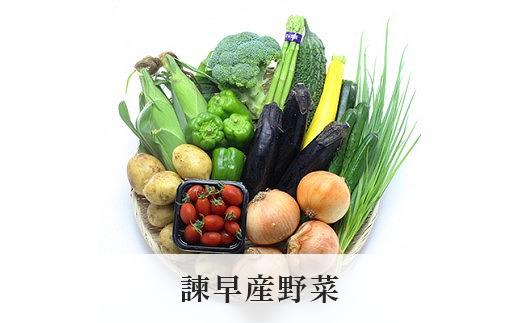 諫早産野菜