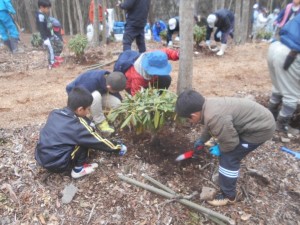 広葉樹植栽事業ほかの画像