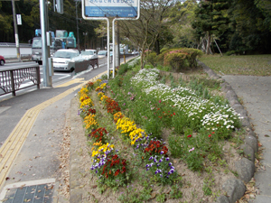 花いっぱい運動推進花苗等支援事業ほかの画像