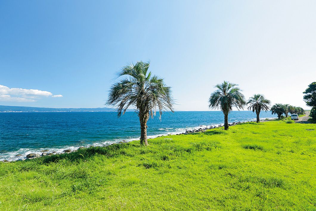 写真：唐比海岸の風景