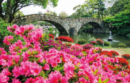 写真：諫早公園のツツジの風景