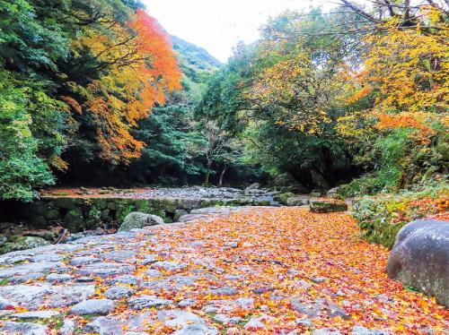 写真：轟峡の紅葉の風景