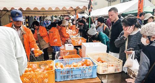 写真：伊木力みかん収穫祭の風景