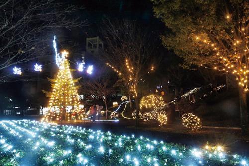 写真：クリスマスイルミネーションの風景