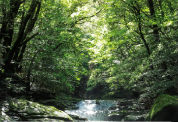 涼風もとめる旅時間の画像