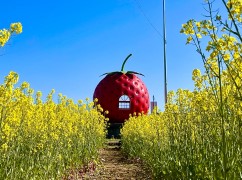 フルーツバス停の画像