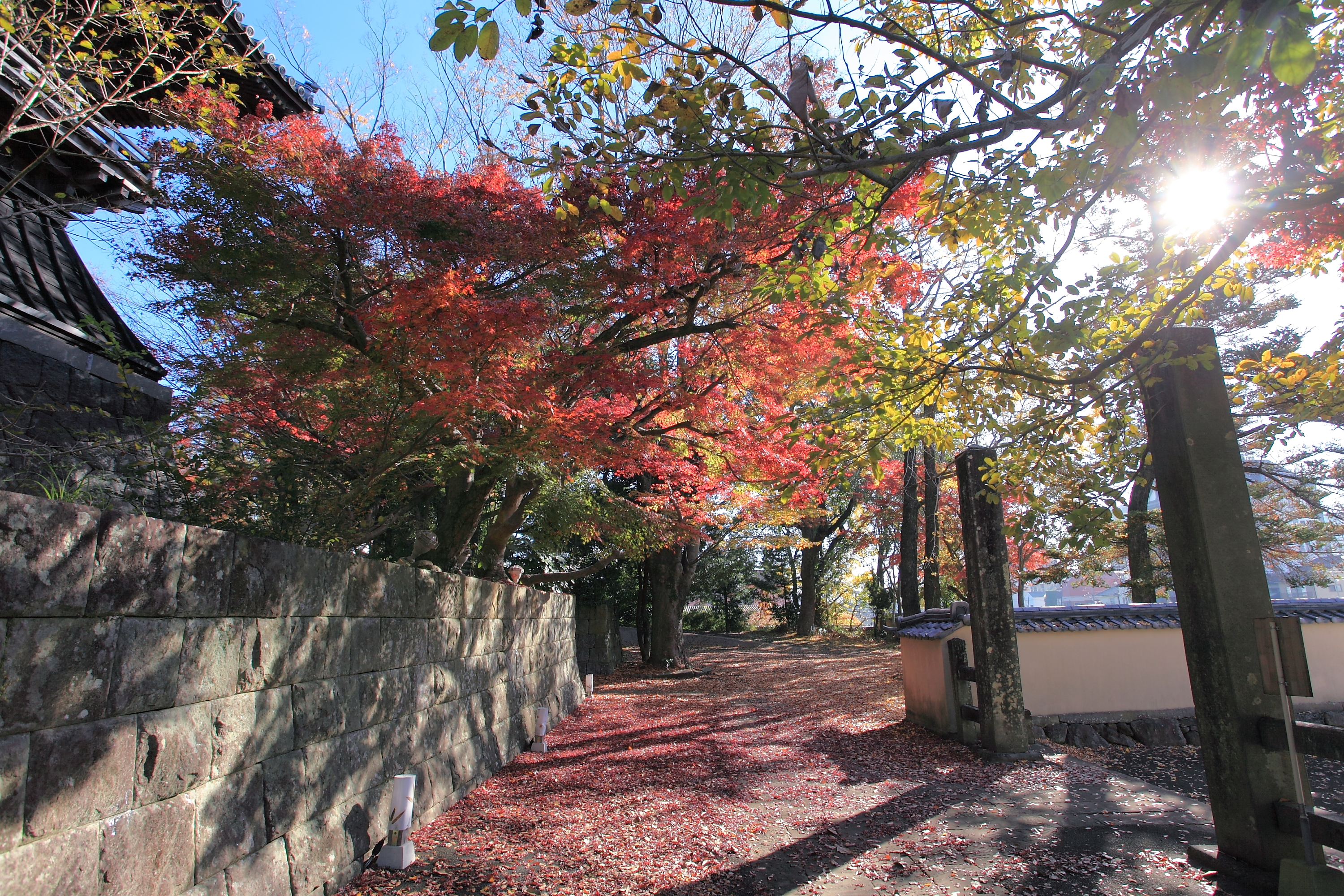 日差しが差し込む安勝寺の画像