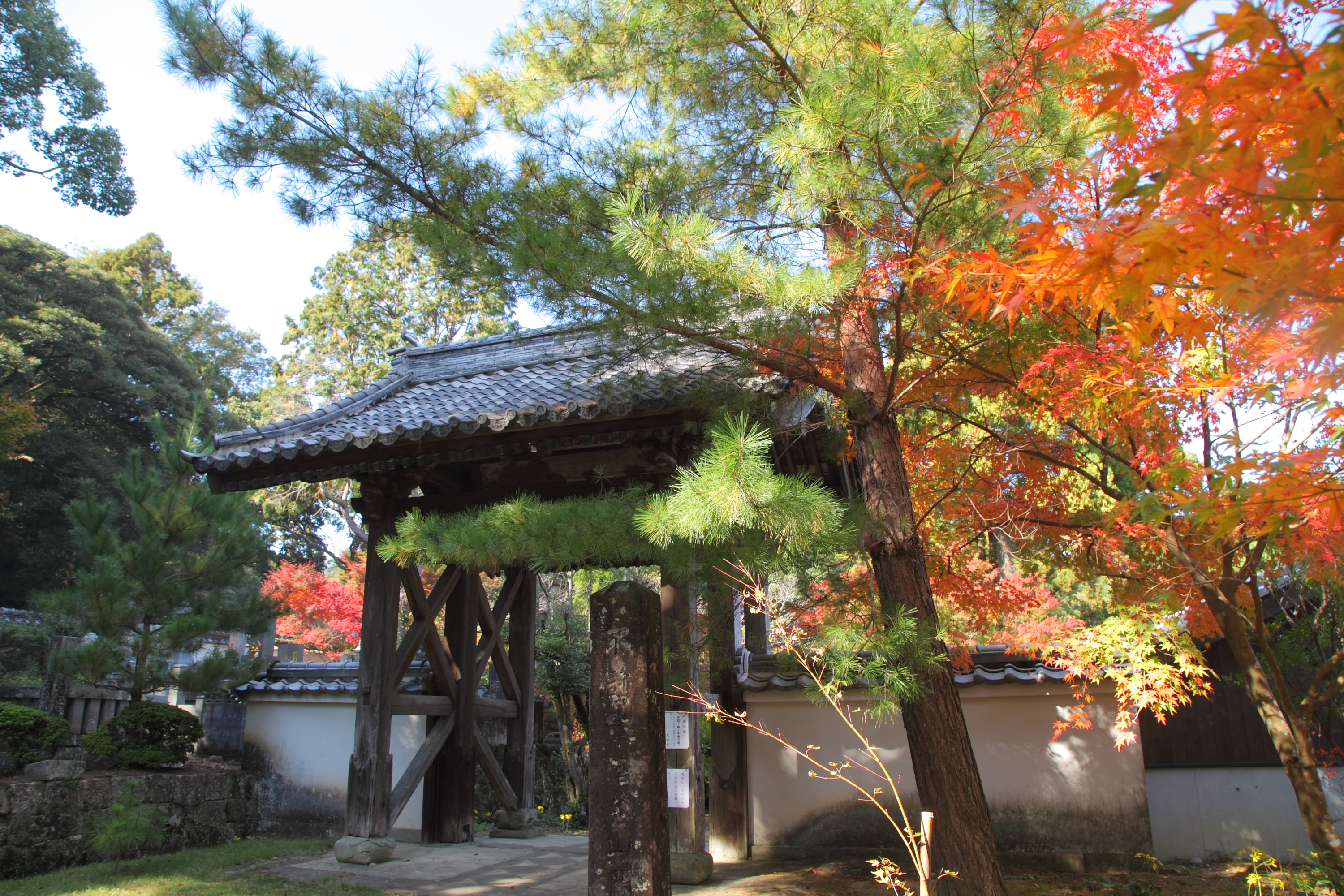 天祐寺の門の画像