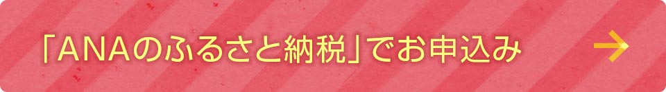 諫早市ふるさと納税「ANA」でお申込み