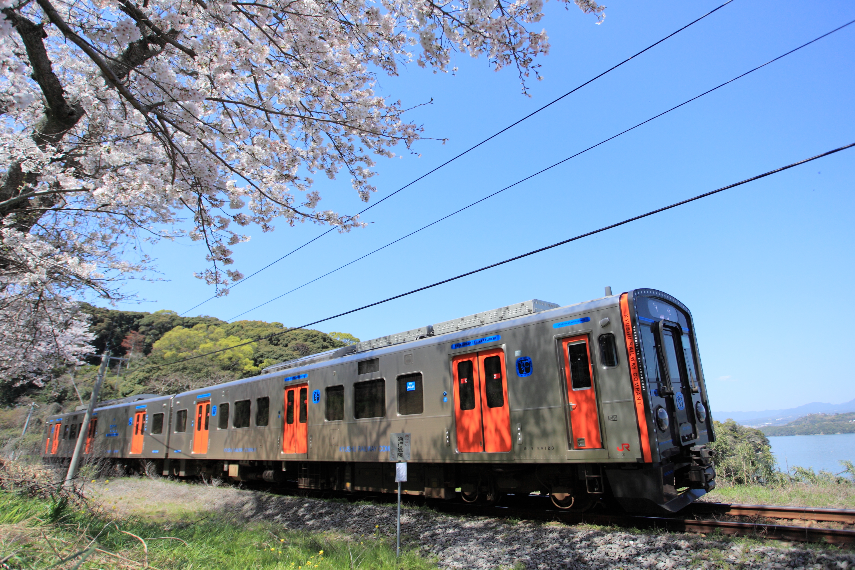 古川の桜とJR