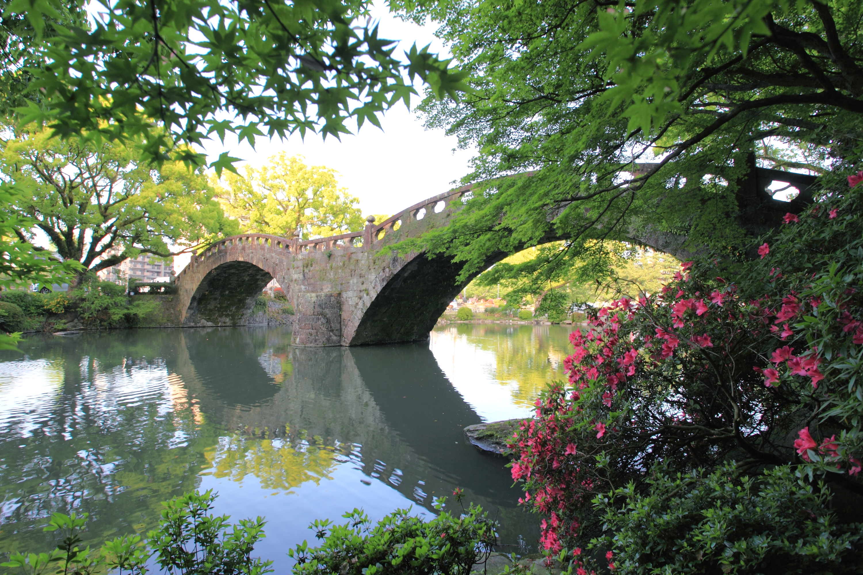 新緑の中の眼鏡橋