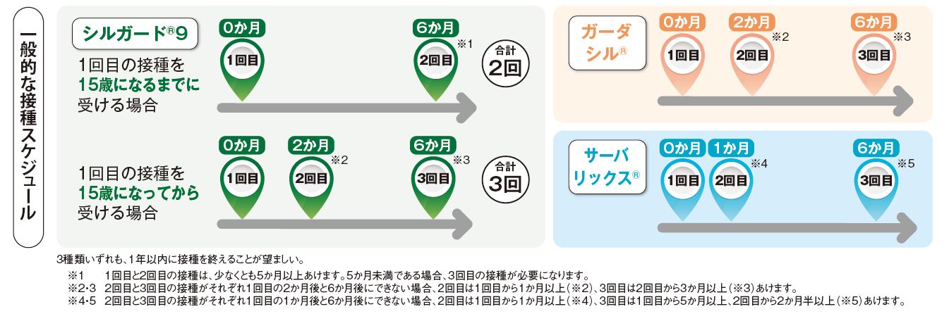 一般的なスケジュールの図