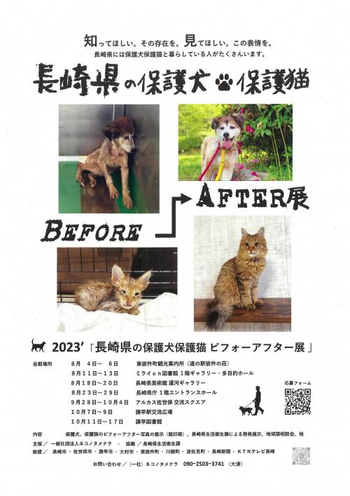 長崎県の保護犬保護猫ビフォーアフター展