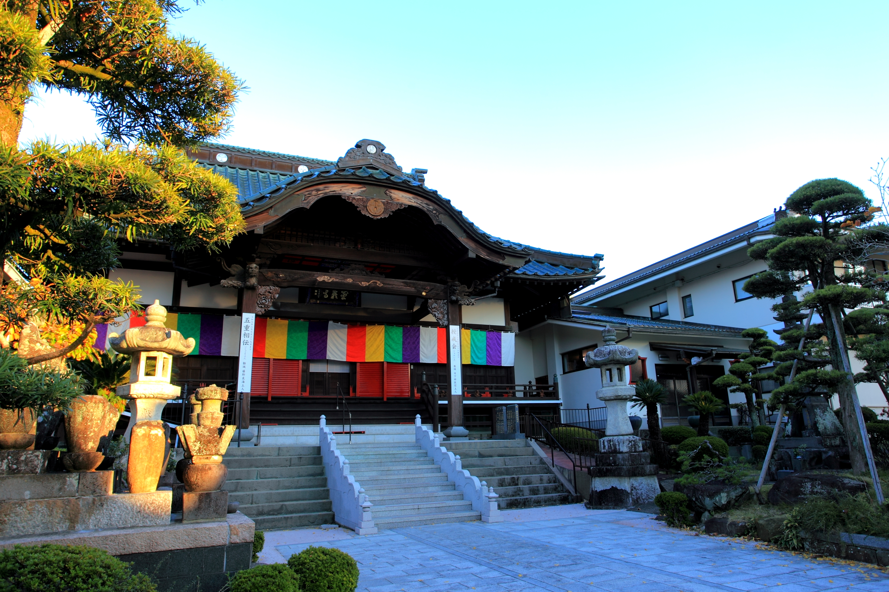 慶厳寺とイチョウ