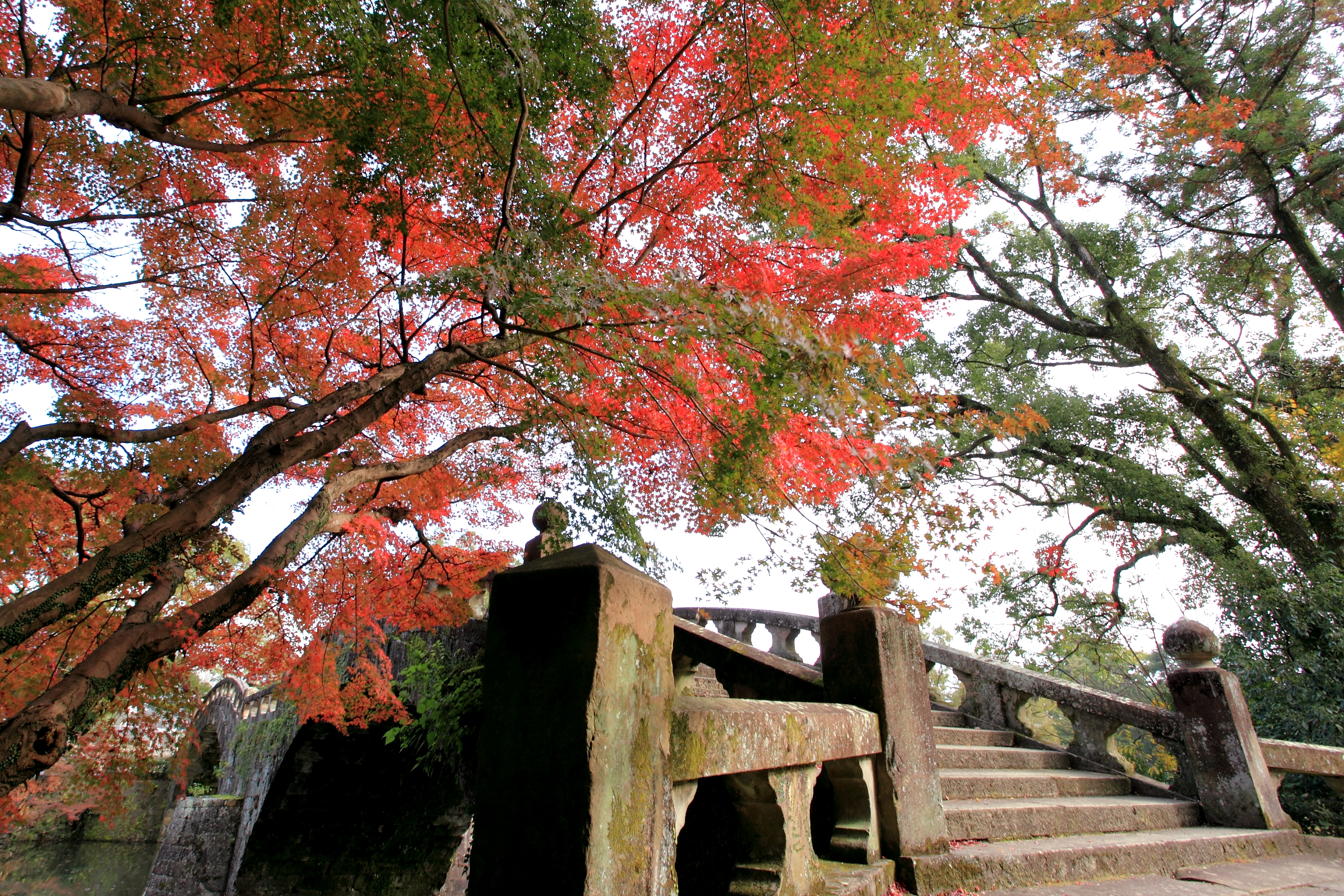 眼鏡橋と紅葉