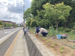 活動写真