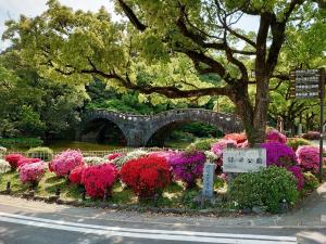 満開の諫早公園のつつじ眼鏡橋前　過去写真