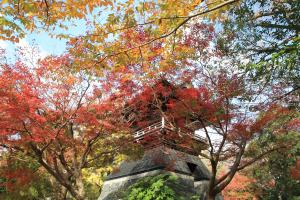 色とりどりの紅葉と安勝寺の画像
