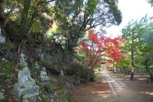 天祐寺の参道の画像