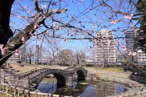 大寒桜とミニ眼鏡橋