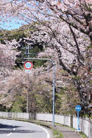 古川のバス停