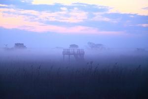 朝霧に浮かぶ中央干拓地展望台