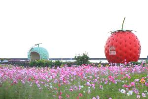 いちごバス停とメロンバス停