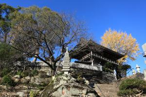 慶厳寺階段とイチョウ