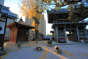 慶厳寺中からの風景