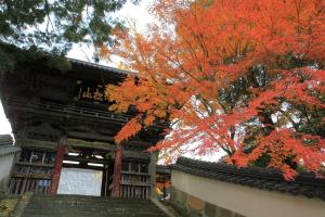 天祐寺門と紅葉